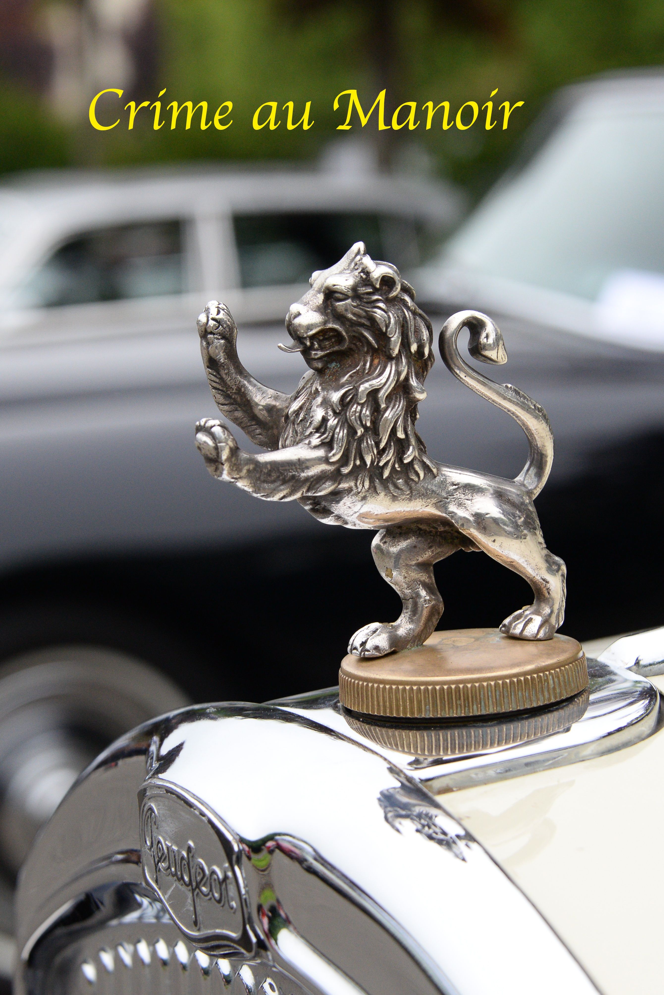 54310536326 1f2ab80d52 o2