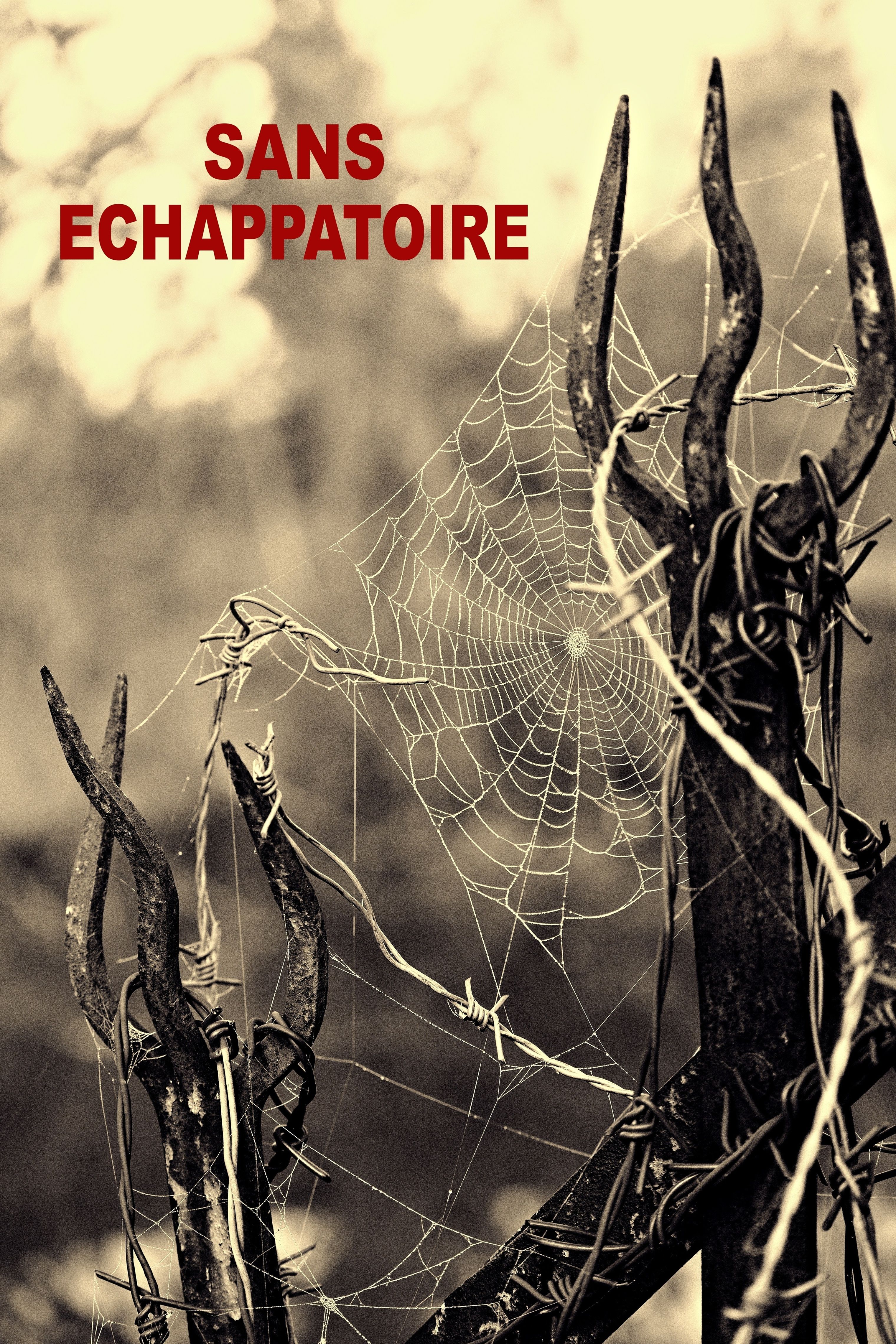 54312522035 574563ea83 o22