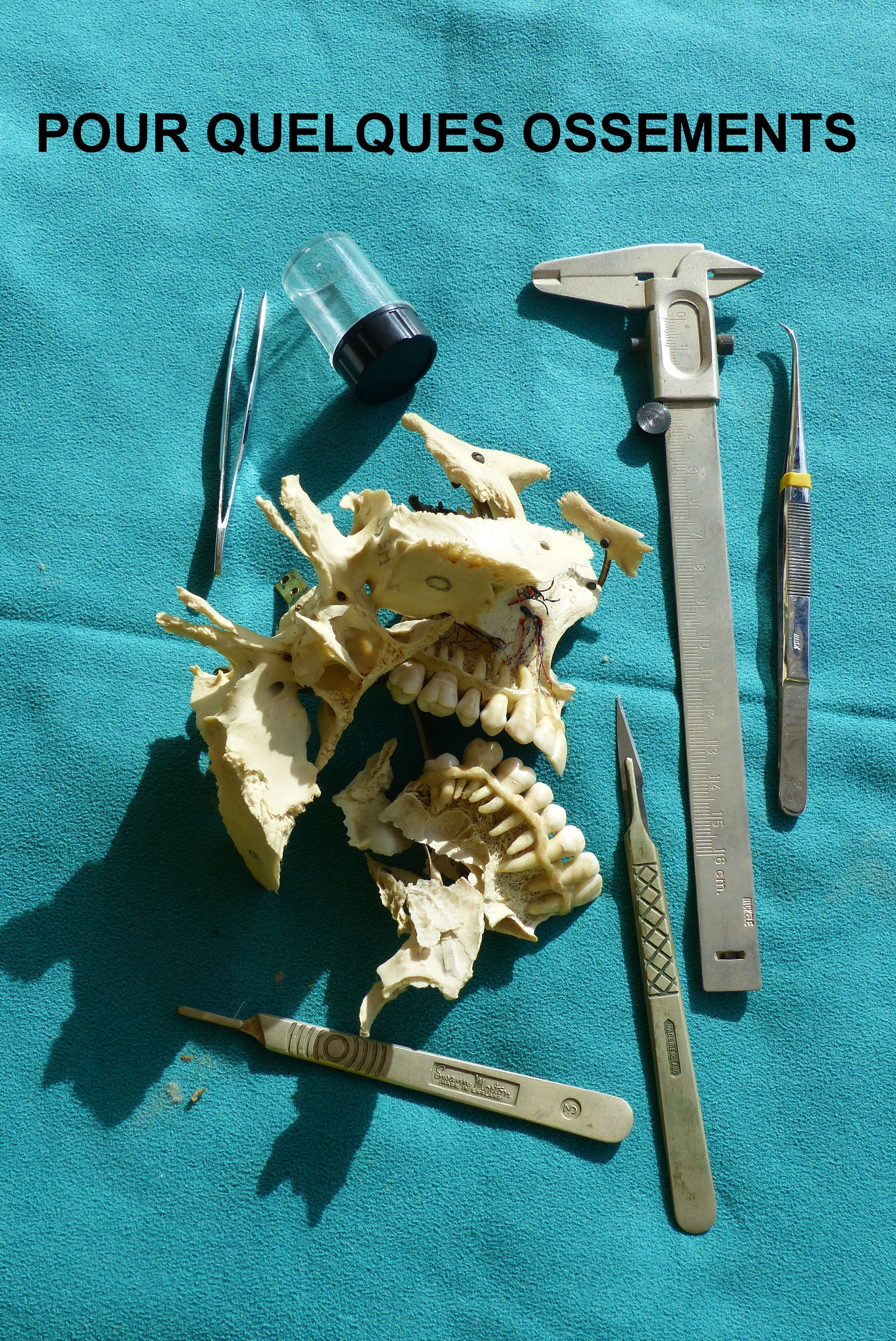 54314656360 99ca6b27cf o