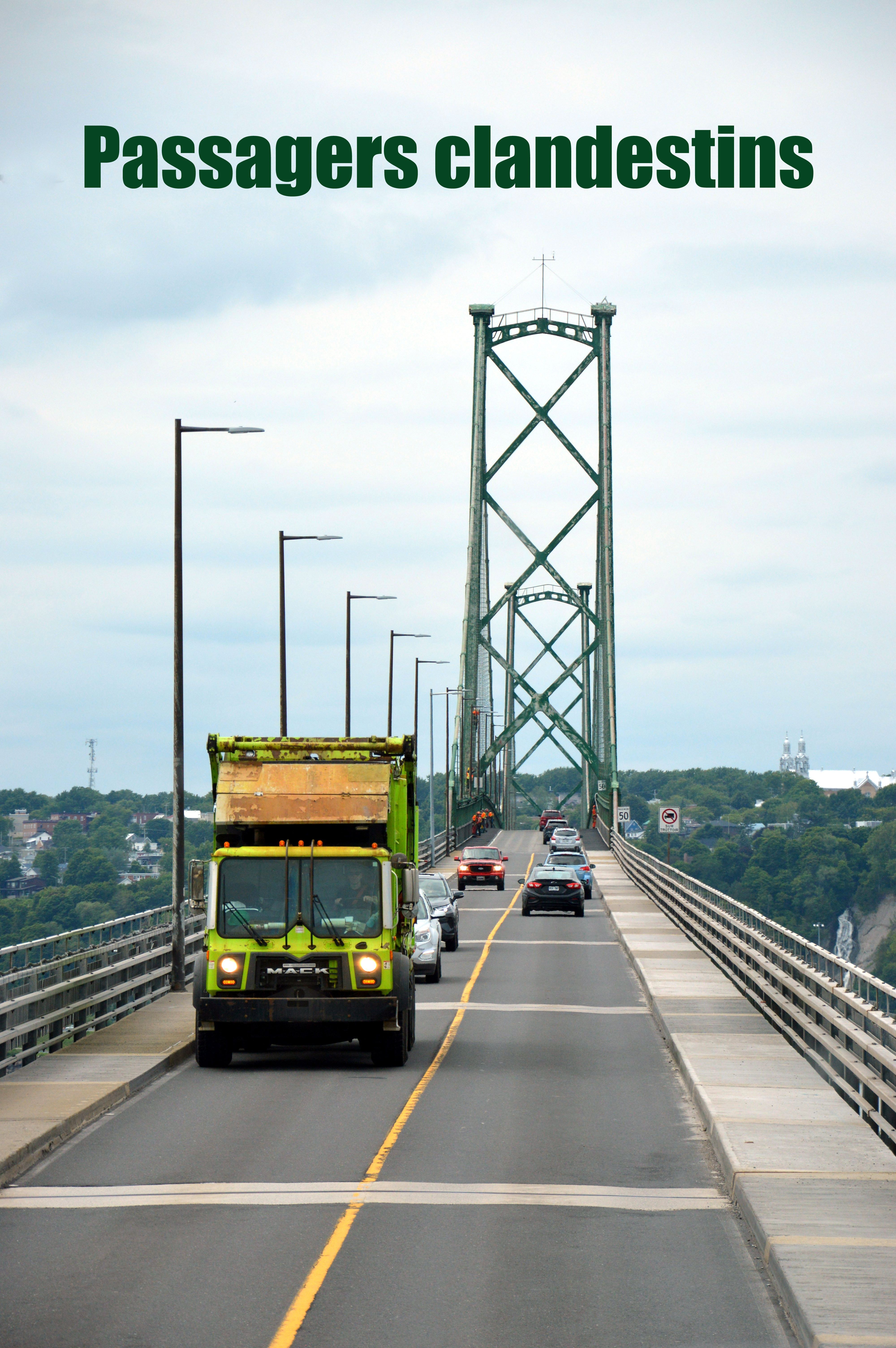 54502921429 a781c02001 o2